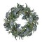 Northlight Iced Leaves and Winter Berries Artificial Christmas Wreath - 24 inch, Unlit